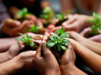 8 0 0 0 04 a content block