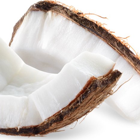 coconut