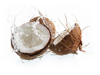 coconut1