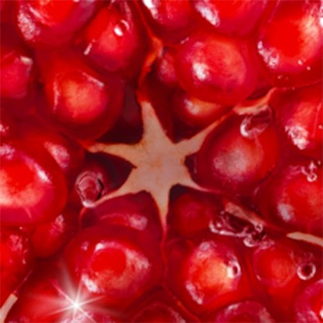 pomegranate