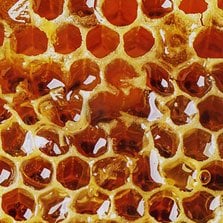 propolis