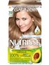 3600542131346 Garnier Nutrisse Cream 70 web