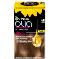 3600541238022 Garnier Olia 60 Light Brown 373